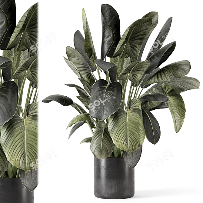  Handmade Stone Pot Indoor Plants 3D model image 2