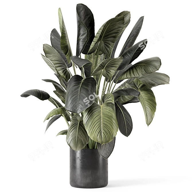  Handmade Stone Pot Indoor Plants 3D model image 3