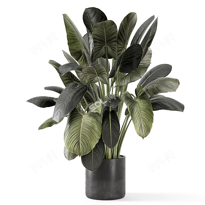  Handmade Stone Pot Indoor Plants 3D model image 4