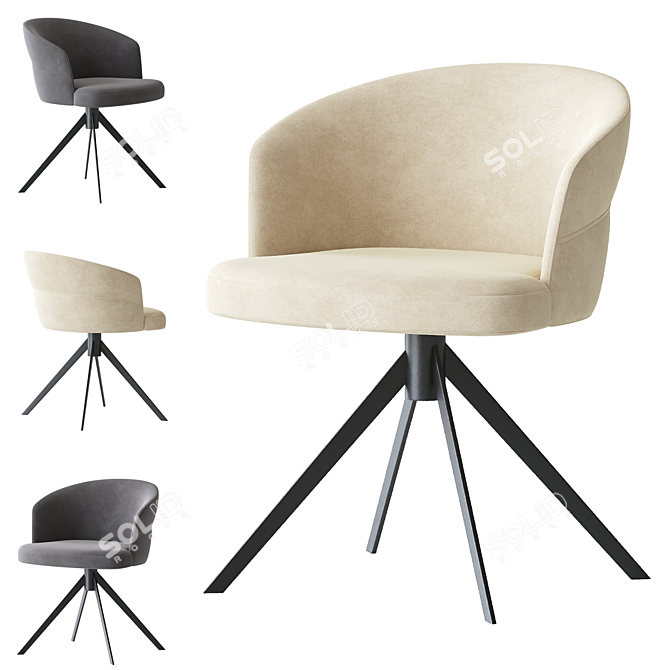 Elegant Nubo 4107 Chair Design 3D model image 1