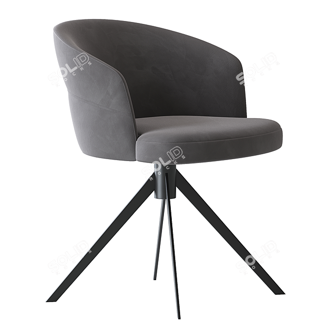 Elegant Nubo 4107 Chair Design 3D model image 5