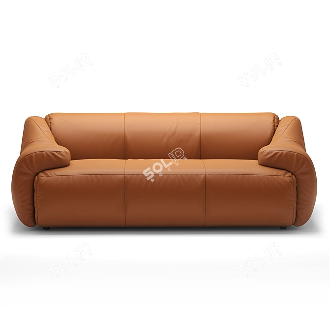 Luxury De Sede DS-705 Sofa 3D model image 3