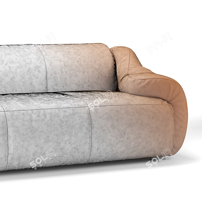 Luxury De Sede DS-705 Sofa 3D model image 6