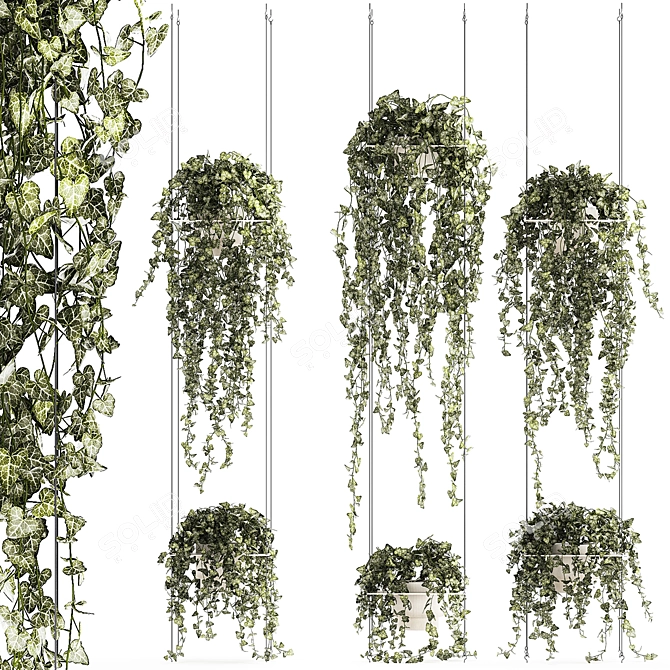 Hedera Ivy Collection Hanging Vertical Garden 3D model image 1