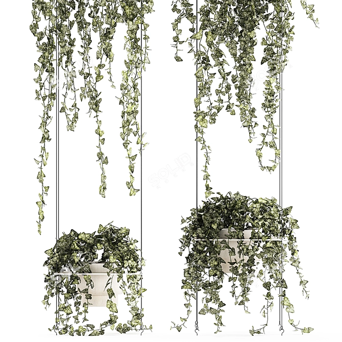 Hedera Ivy Collection Hanging Vertical Garden 3D model image 3