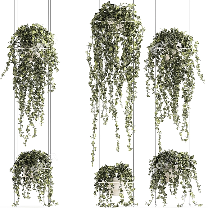 Hedera Ivy Collection Hanging Vertical Garden 3D model image 4