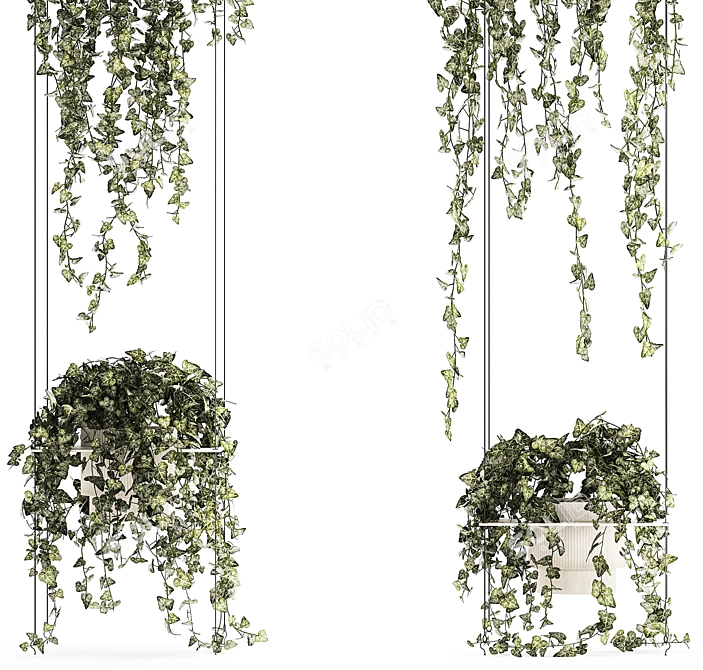 Hedera Ivy Collection Hanging Vertical Garden 3D model image 5