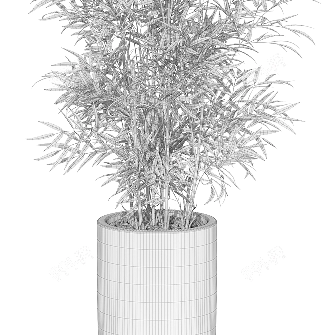 Diverse Plants Collection 1009 3D model image 4