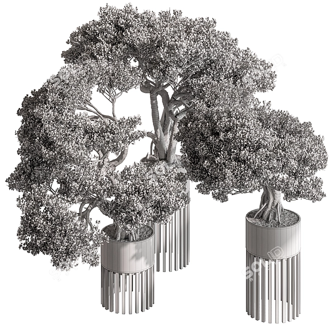 Bonsai Plant 625: Indoor Charm 3D model image 5