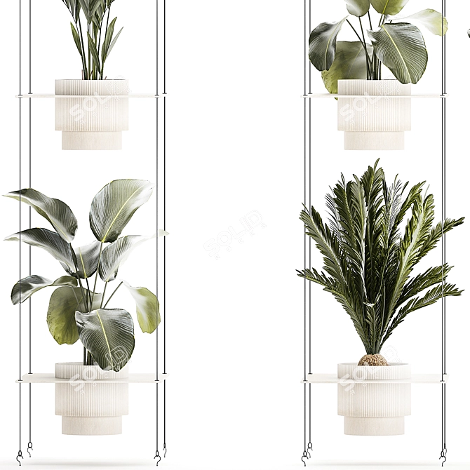 Exotic Plant Collection 1425 3D model image 4