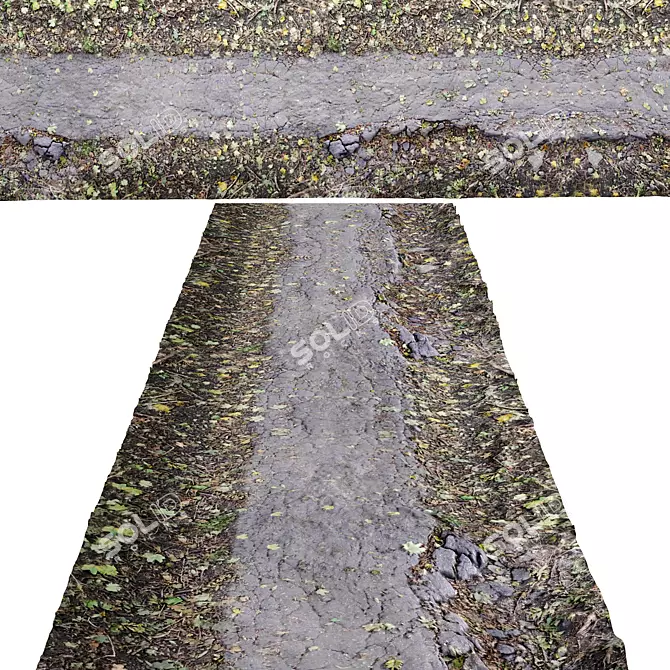 Seamless Asphalt Forest Path 3D model image 1