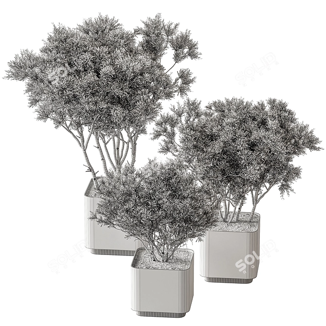 Russian Birch Tree in Pot 3D model image 5