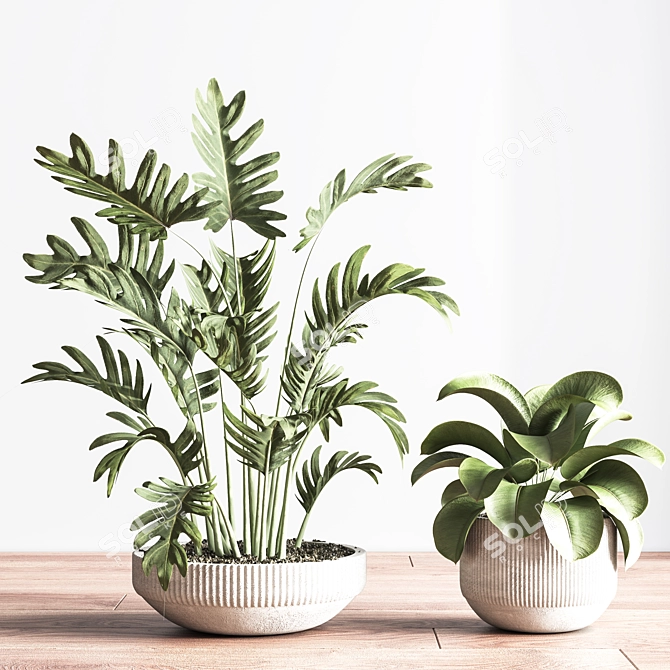 Modern Indoor Plant Set 3D 3D model image 3