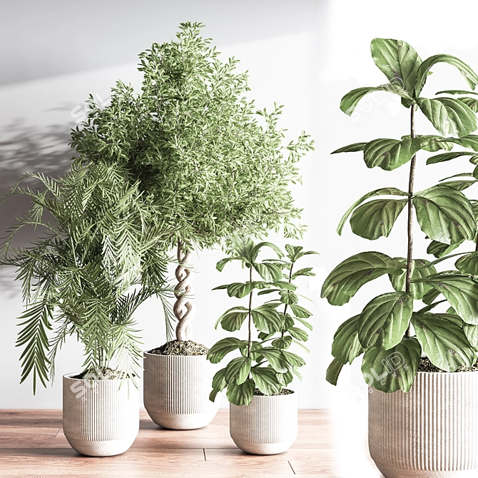 Modern Indoor Plant Set 3D 3D model image 4