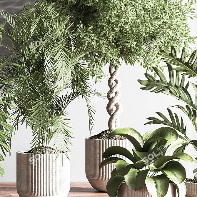 Modern Indoor Plant Set 3D 3D model image 6