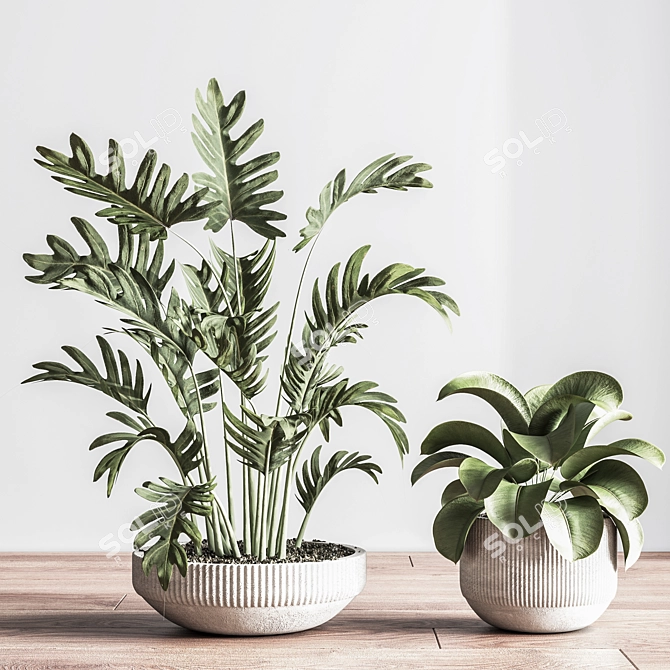 Modern Indoor Plant Set 3D 3D model image 9