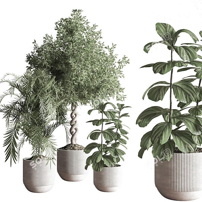 Modern Indoor Plant Set 3D 3D model image 10