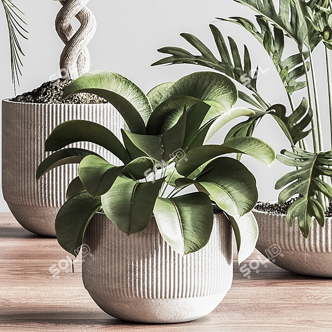 Modern Indoor Plant Set 3D 3D model image 11