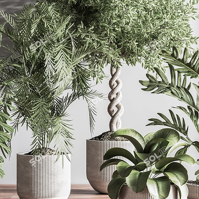 Modern Indoor Plant Set 3D 3D model image 12