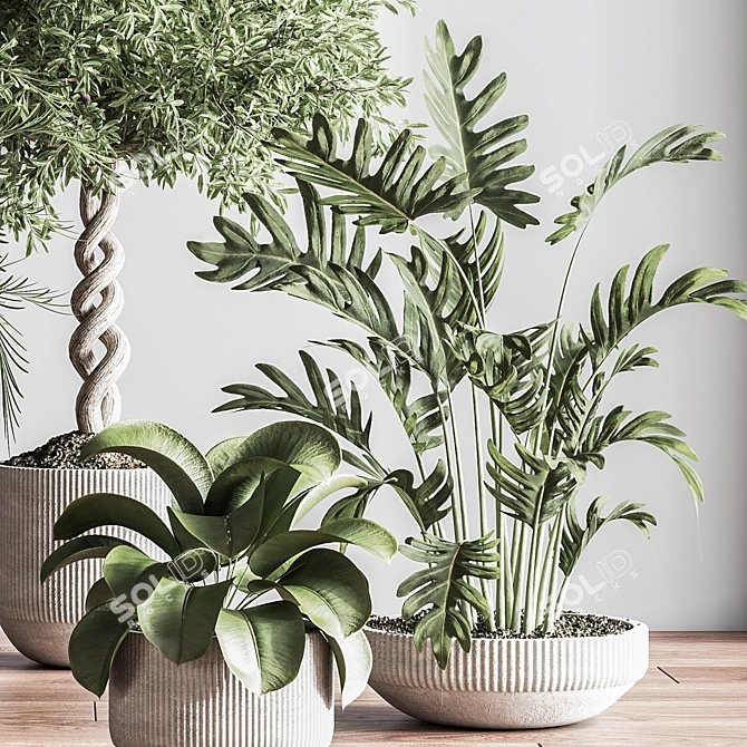 Modern Indoor Plant Set 3D 3D model image 13