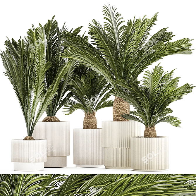 Exotic Plant Collection: Modern Decor 3D model image 1