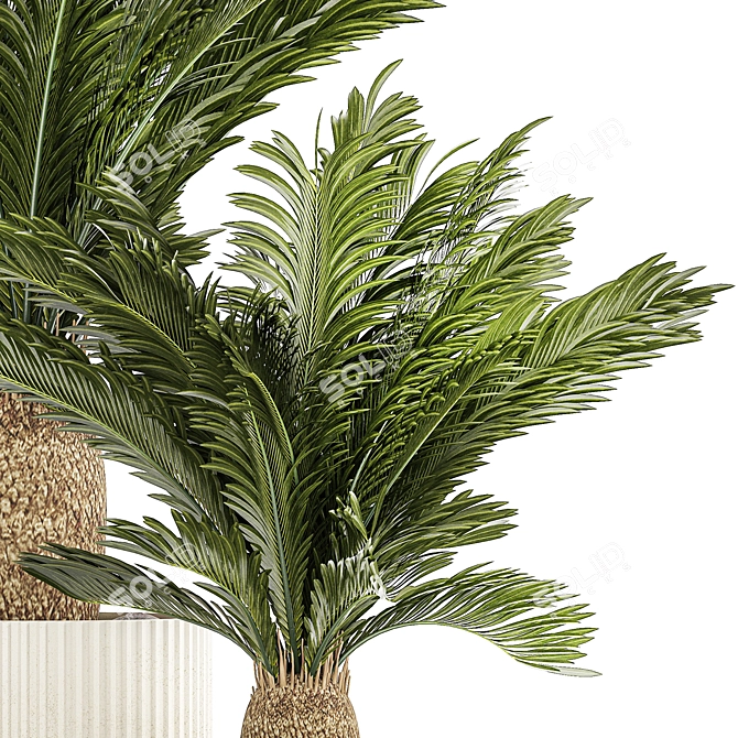 Exotic Plant Collection: Modern Decor 3D model image 5