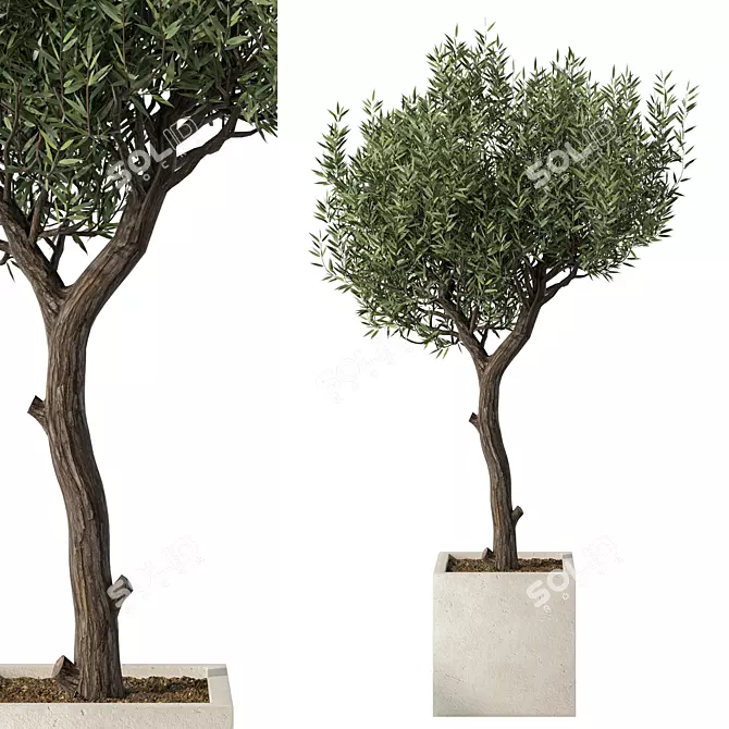 Majestic Outdoor Plant Sculpture 3D model image 1