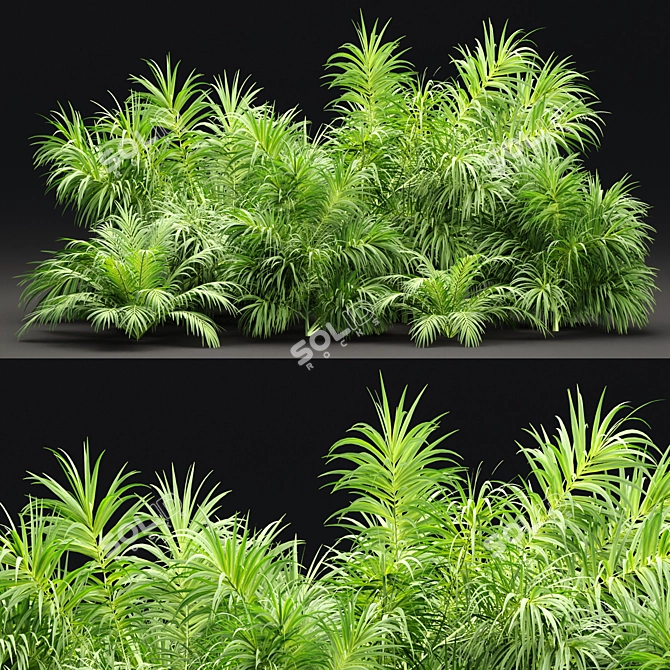 PBR Plants Textures Collection Bundle 3D model image 1