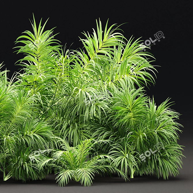 PBR Plants Textures Collection Bundle 3D model image 2