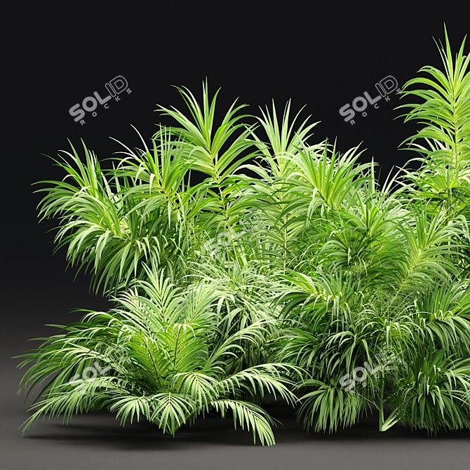 PBR Plants Textures Collection Bundle 3D model image 4