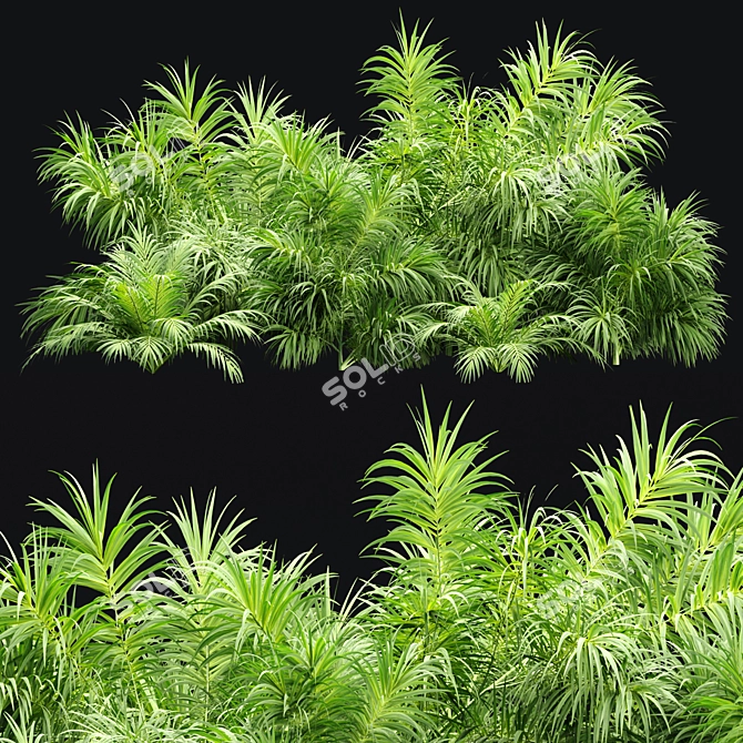 PBR Plants Textures Collection Bundle 3D model image 6