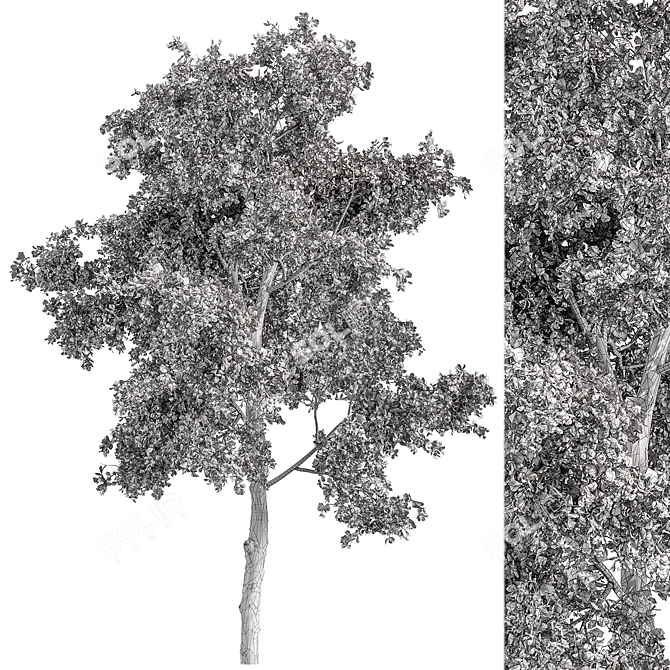 Holiday Mistletoe Tree Set 3D model image 3