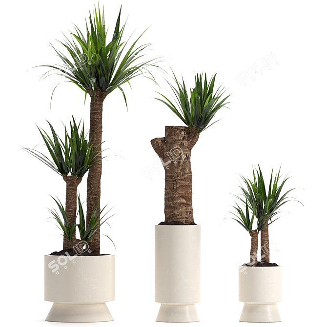 Yucca Indoor Plant 3D Model 3D model image 2