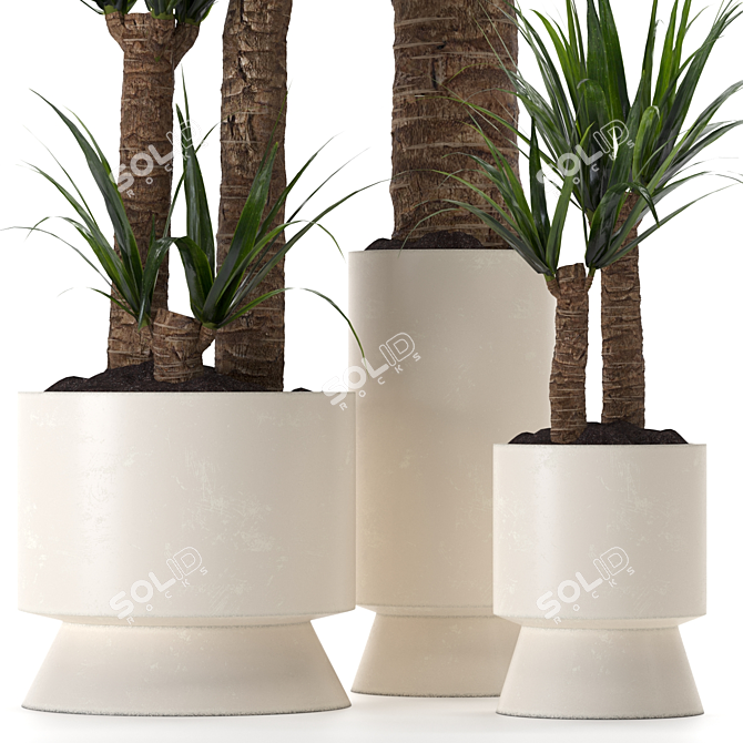 Yucca Indoor Plant 3D Model 3D model image 3