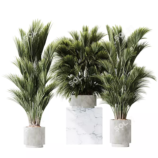 Tropical Palm Set with Planter 3D model image 1