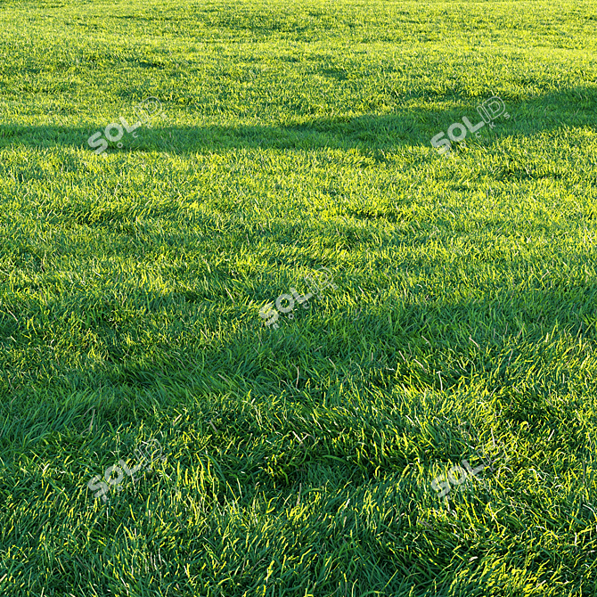 Pro Render Grass Pack 3D model image 1