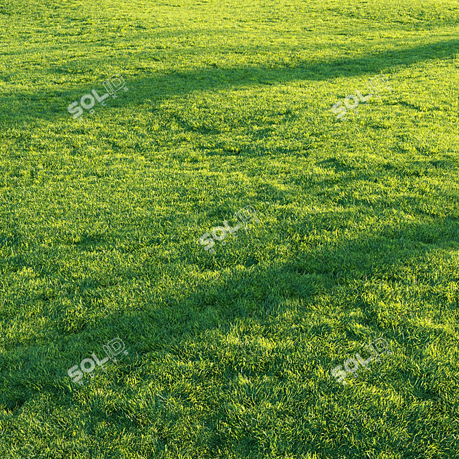 Pro Render Grass Pack 3D model image 2