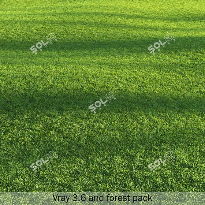 Pro Render Grass Pack 3D model image 3