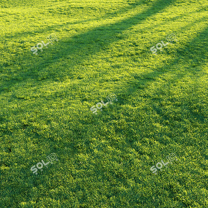 Pro Render Grass Pack 3D model image 4