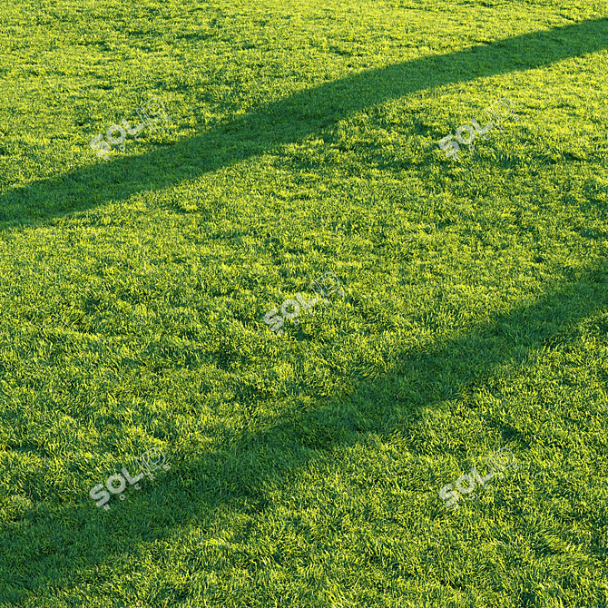 Pro Render Grass Pack 3D model image 5