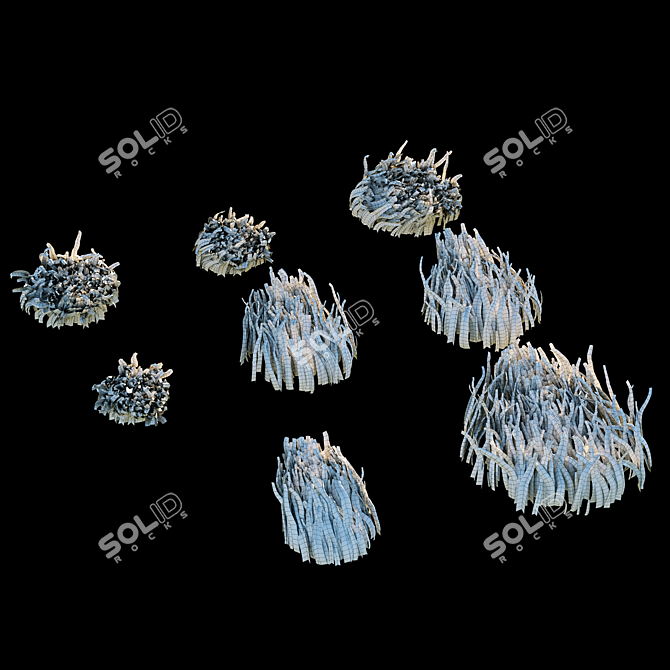 Pro Render Grass Pack 3D model image 7