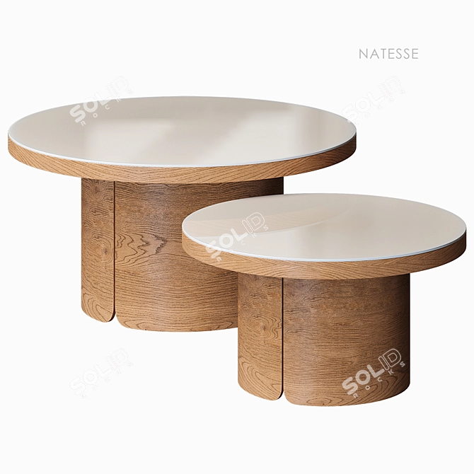 Natesse Coffee Table Set La Redoute 3D model image 1