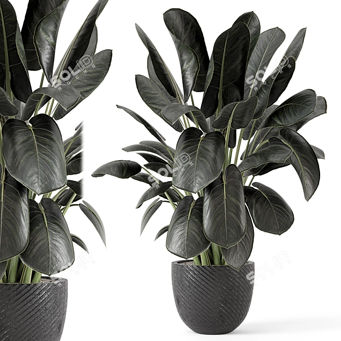 Artisan Stone Pot Indoor Plants 3D model image 1