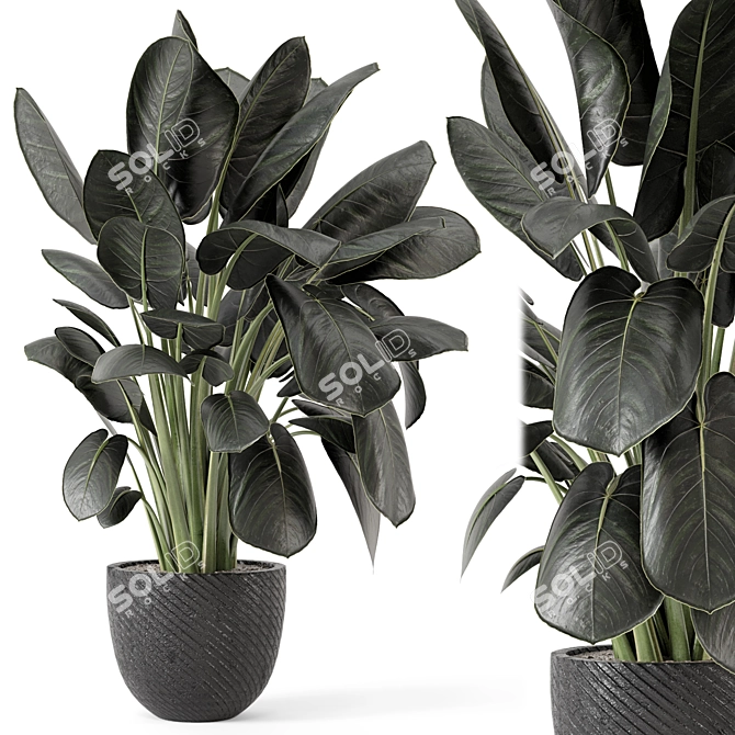 Artisan Stone Pot Indoor Plants 3D model image 2