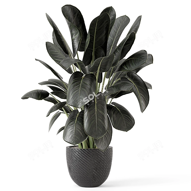 Artisan Stone Pot Indoor Plants 3D model image 3