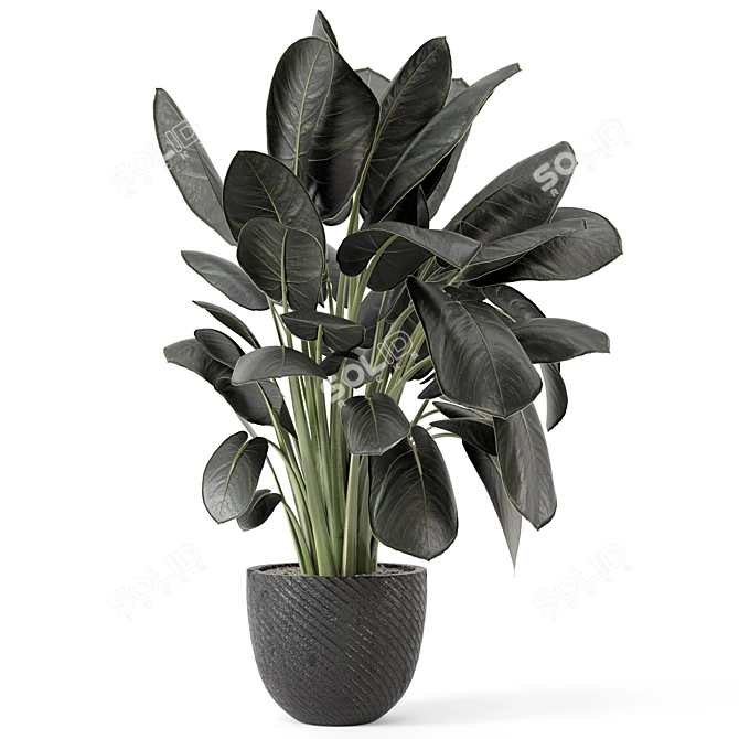 Artisan Stone Pot Indoor Plants 3D model image 4