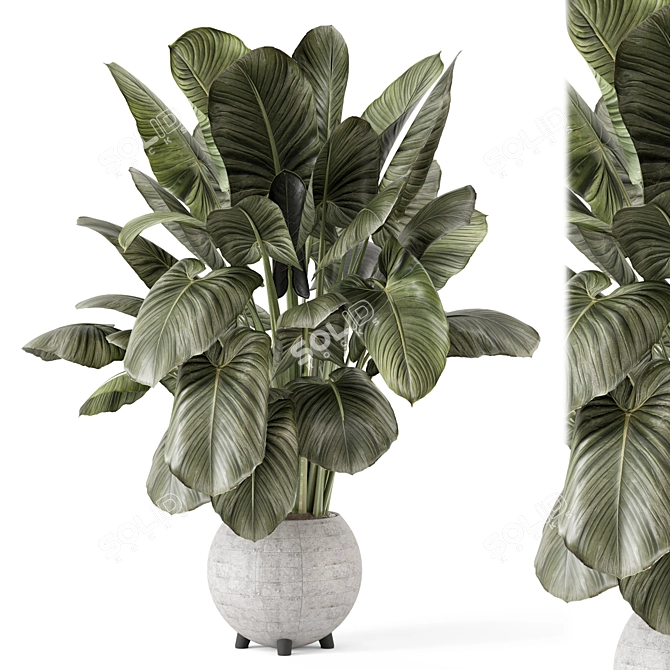  Handmade Stone Pot Indoor Plants 3D model image 1