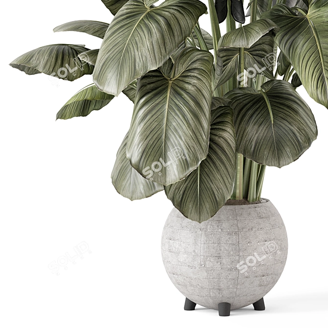  Handmade Stone Pot Indoor Plants 3D model image 2