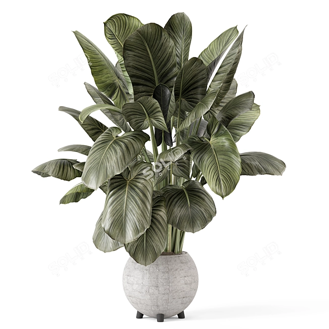  Handmade Stone Pot Indoor Plants 3D model image 4