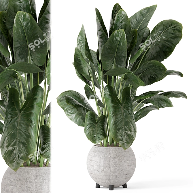 Handmade Stone Pot Indoor Plants 3D model image 1